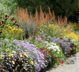 A typical herbaceous border